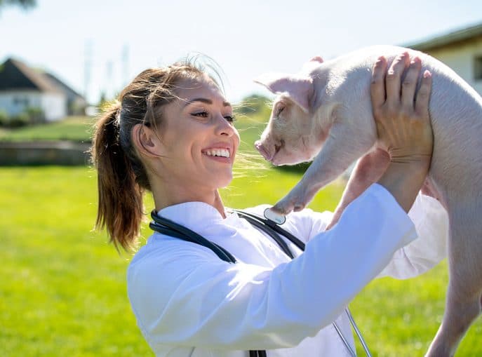 Support for Effective Estrus Management