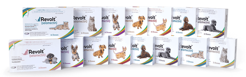 REVOLT® for Cats (selamectin)