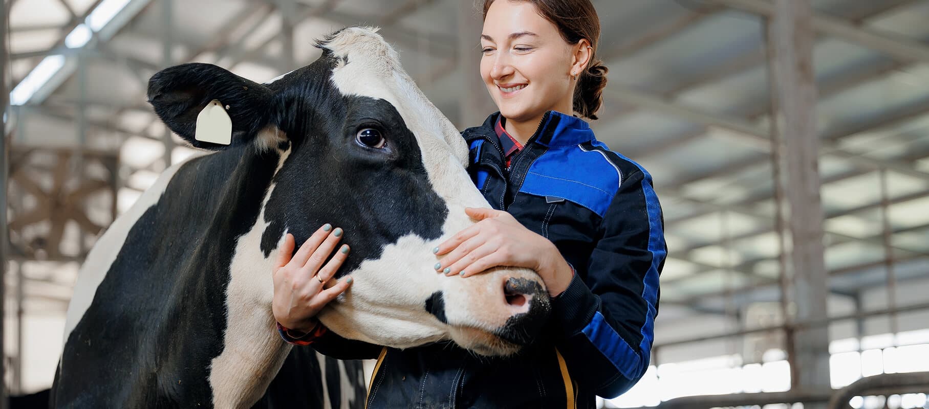 Bovine Excellence: Health & Care by Aurora