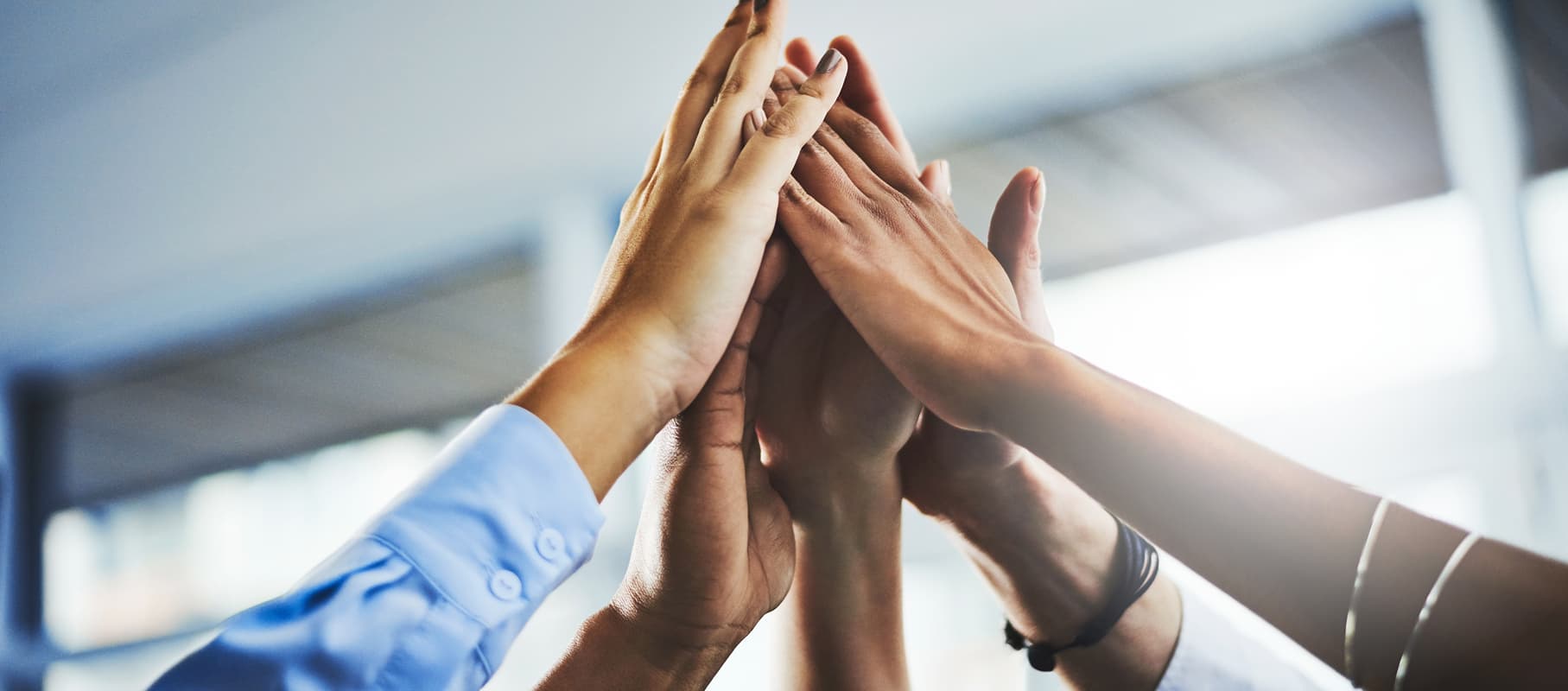 Meet the Team Behind Aurora Pharmaceutical