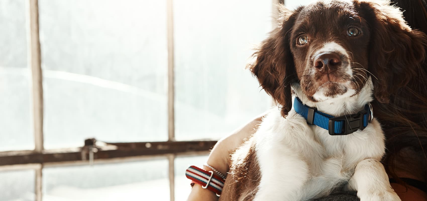 Care You Can Trust For