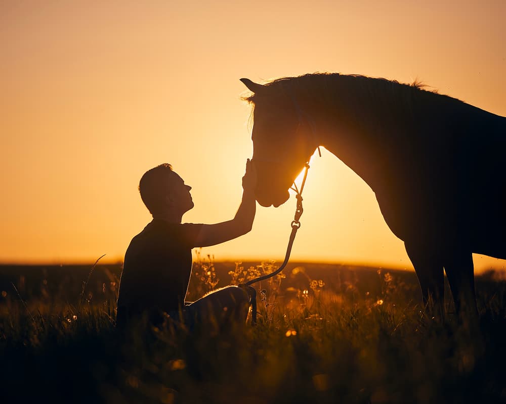 Focused on Equine Reproductive Care
