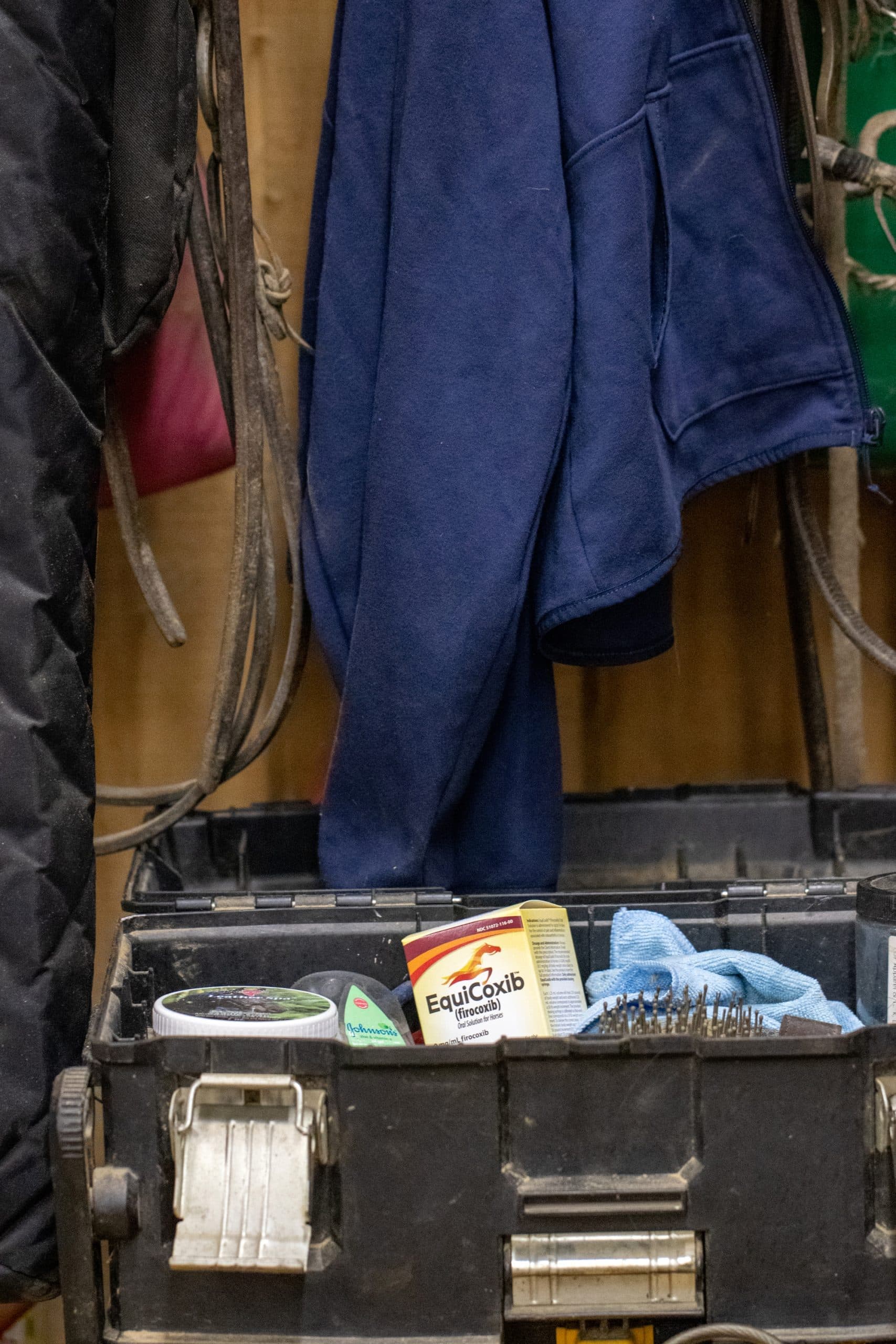 Get Show-Ready with Tips from Dr. Klotz